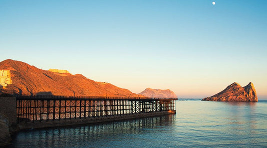 Murcia, la huerta de Europa - Misswood