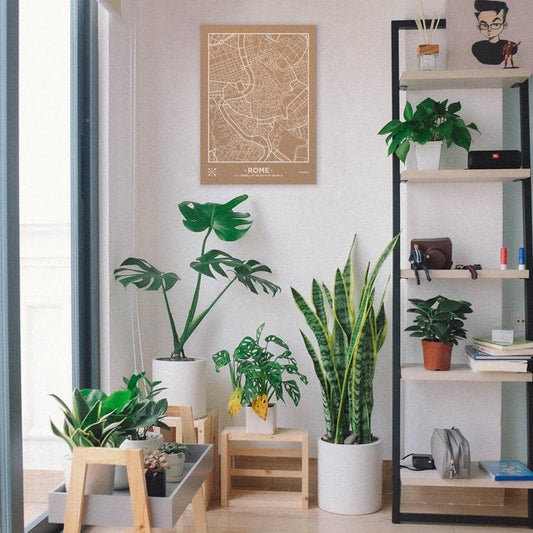 Mapa de corcho - Woody Map Natural Roma - Misswood